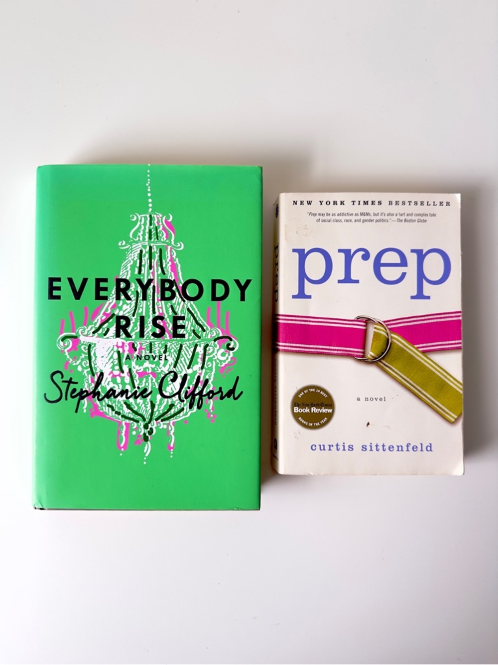 Everybody Rise and Prep Fiction Novels Young Adult Booktok Preppy Bundle